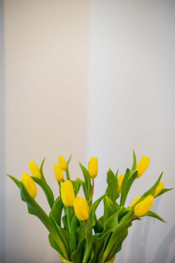 Apartament Zacisze Wawelofts คราคูฟ ภายนอก รูปภาพ